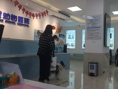 -北京观赏动物医院·24小时大型综合·猫专科·异宠专科