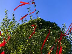 -歌斐颂巧克力小镇