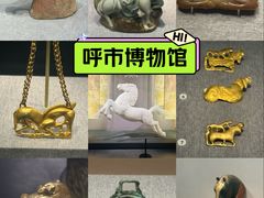 -呼和浩特博物馆