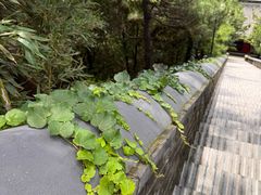-红螺寺