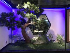 -绿茶餐厅(成都大悦城店)