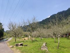 -广东天露山旅游度假区