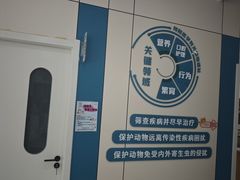 -小伙伴宠物医院·CT·骨科·眼科(高新店)