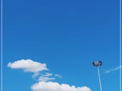 -紫鹊界梯田景区