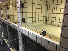 -熊小胖宠物生活馆(天华园店)