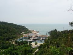 -广东惠东海龟国家级自然保护区