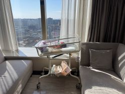 -巍阁月子中心(国贸店)