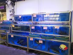 -八仔大富楼·河鲜(西江店)