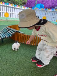 -萌宠亲子动物乐园(槐房万达店)