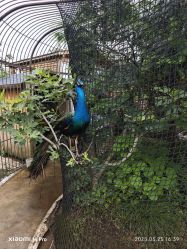 -三分地生态园·儿童乐园