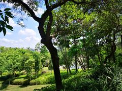 -神光山国家森林公园