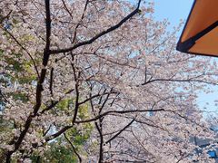 -玛格萝妮比萨屋(四平店)