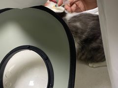 -爱佳宠物中心医院·骨外科·猫专科·急重症(瑶海万达店)