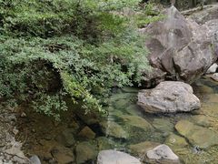 -花岩国家森林公园