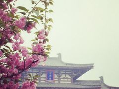 -西安青龙寺遗址景区