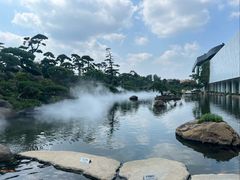 -罗红摄影艺术馆