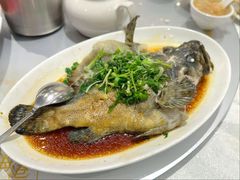 -海港酒家(始创中心店)