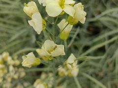 -中国天府农业博览园