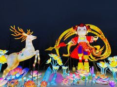 -武汉园博园(武汉自然博物馆)