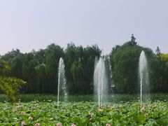 -东升八家郊野公园