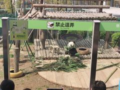 -大连森林动物园