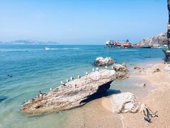 -海驴岛(荣成市)