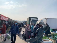 -何庄子阿米玛玛农产品批发市场