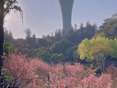 -狐尾山公园