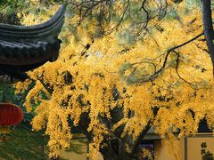 -无锡惠山寺