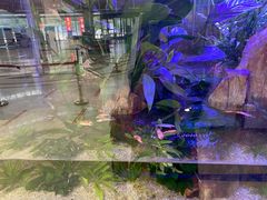 -内蒙古自治区国际蒙医医院(总院)