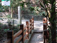 -滴水岩森林公园