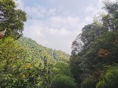 -莫干山风景区