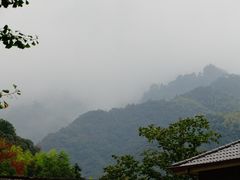 -莫干山风景区