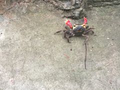-花岙岛