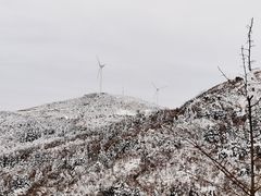 -东白山