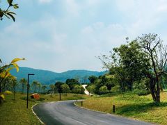 -水濂山森林公园