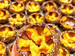 -贵木日本料理·铁板烧(新地假日广场店)