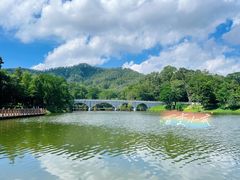 -番禺大夫山森林公园