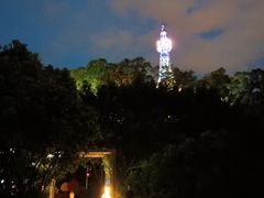 -金鸡山公园