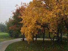 -万柳高尔夫俱乐部