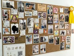 -团子家猫咪猫咖馆·柯基·柯尔鸭