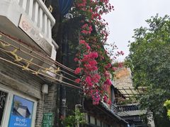 -荔湾湖公园