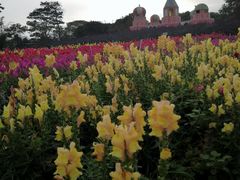 -松山湖南湖湾露营营地