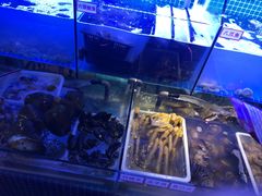 -捞围鲜·港式打边炉(海阳路店)