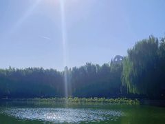 -团结湖公园