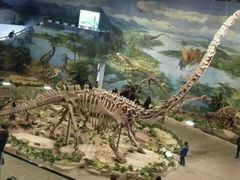 android_upload_pic-自贡恐龙博物馆