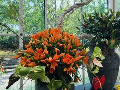 -上海鲜花港