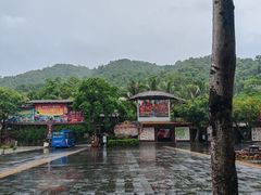 -海南槟榔谷黎苗文化旅游区