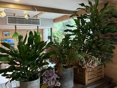 -春暖花开(西溪店)