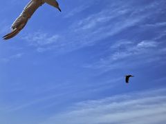 -海驴岛(荣成市)